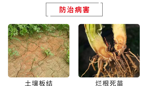 徯恩（青岛Q生物科技有限公司3_06.jpg