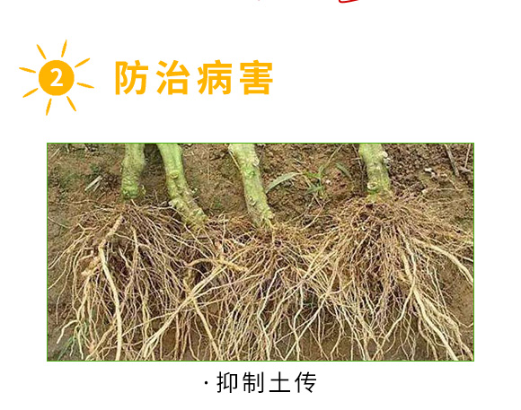 青岛易普丰生物科技有限公司2_04.jpg