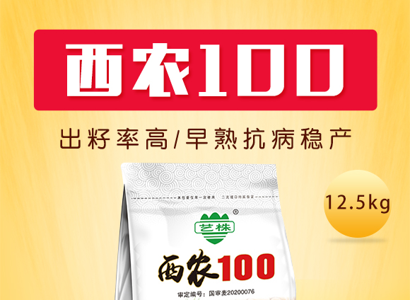 辉县市U北种业有限公?西农100_01.jpg