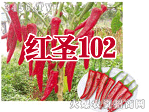 tʥ102