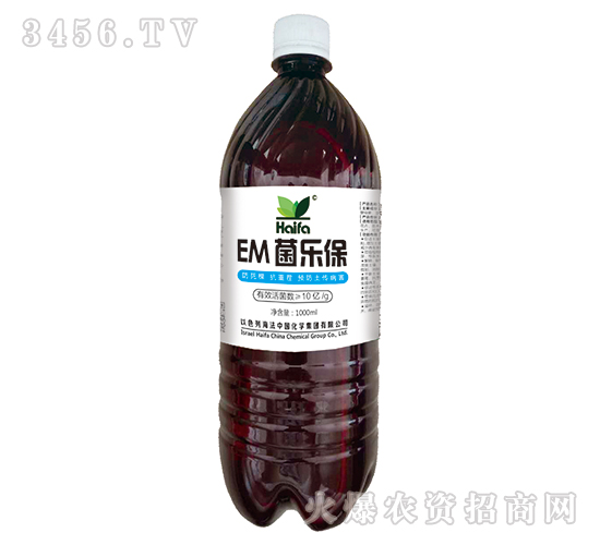 EM-W(xu)