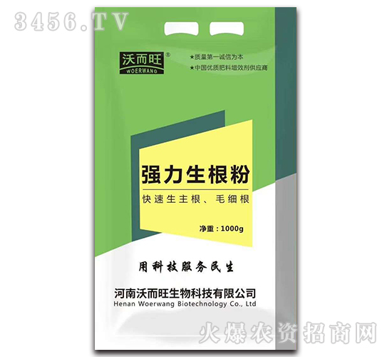 (qing)ۣ1000g-ֶ