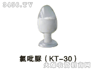 v-壨KT-30