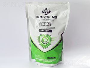 1000g(gu)-